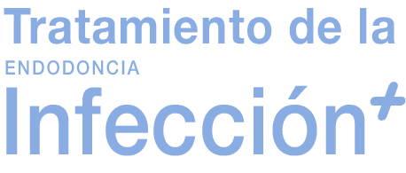 endodoncia-cabecera Tratamiento de la infecion